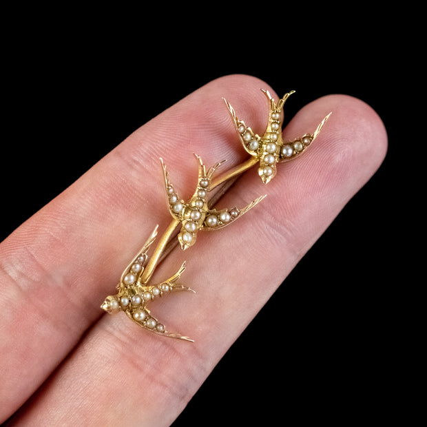 Antique Victorian Pearl Swallows Brooch 15Ct Gold Circa 1900