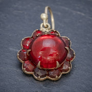 Antique Victorian Red Paste Garnet Flower Earrings Circa 1880