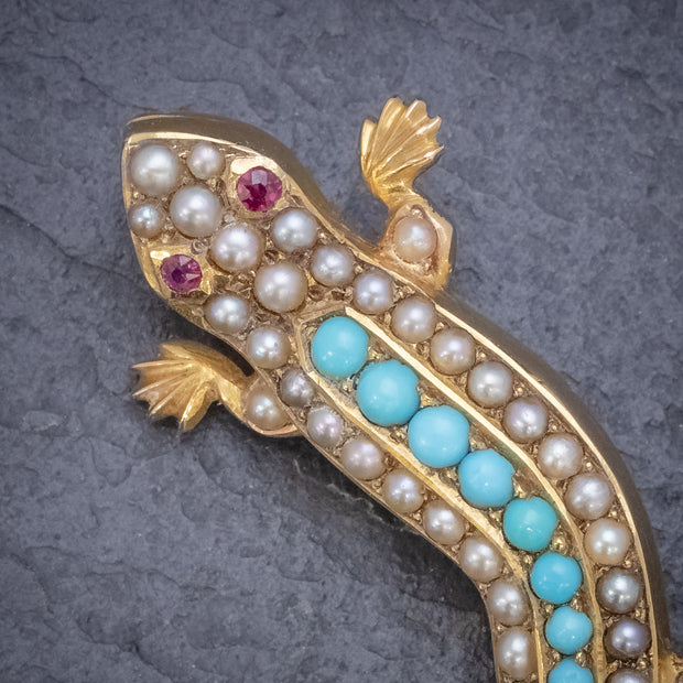 Antique Victorian Turquoise Pearl Salamander Brooch 15Ct Gold Circa 1890