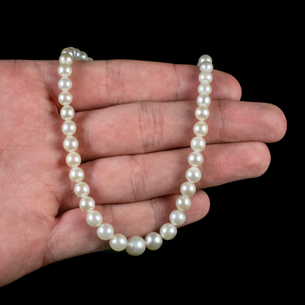 Art Deco Pearl Necklace Sapphire Diamond Platinum Clasp Circa 1930