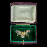 Antique Edwardian Gemstone Butterfly Brooch Circa 1905 Boxed