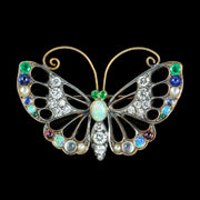 Antique Edwardian Gemstone Butterfly Brooch With Box