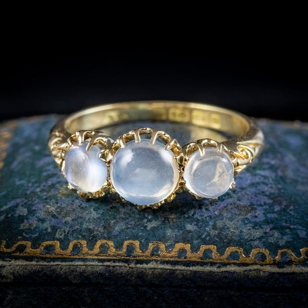 Antique Edwardian Moonstone Trilogy Ring Dated 1908