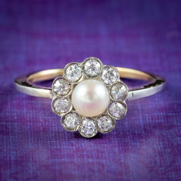 Antique Edwardian Pearl Diamond Daisy Ring Circa 1905