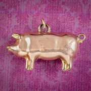 Antique Edwardian Pig Charm 9ct Gold Circa 1910 cover