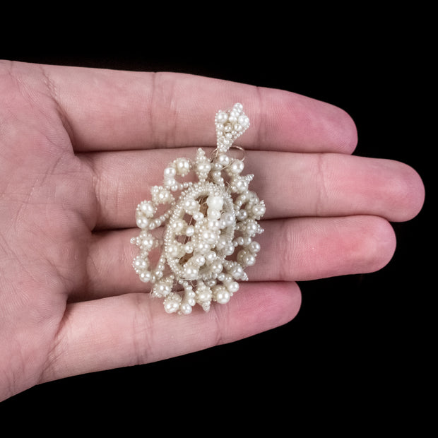 Antique Georgian Seed Pearl Pendant Mop Back Gold Pin Circa 1830