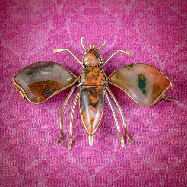 Antique Victorian Agate Insect Brooch 18ct Gold Circa 1860