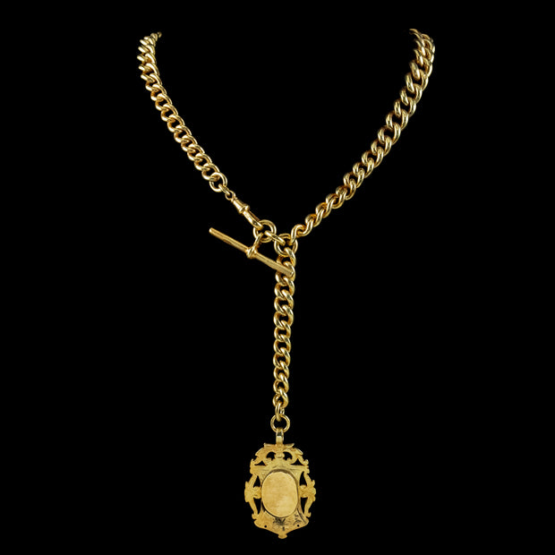 Antique Victorian Albert Chain With Medallion Silver 18ct Gold Gilt Dated 1897Antique Victorian Albert Chain With Medallion Silver 18ct Gold Gilt Dated 1897
