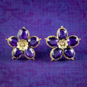 Antique Victorian Amethyst Flower Stud Earrings 15ct Gold