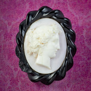 Antique Victorian Angel Skin Coral Cameo Brooch Whitby Jet Frame Circa 1860