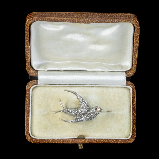 Antique Victorian Diamond Swallow Brooch Boxed 