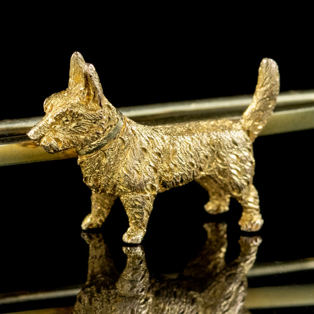 Antique Victorian Dog Bar Brooch 15ct Gold Circa 1900