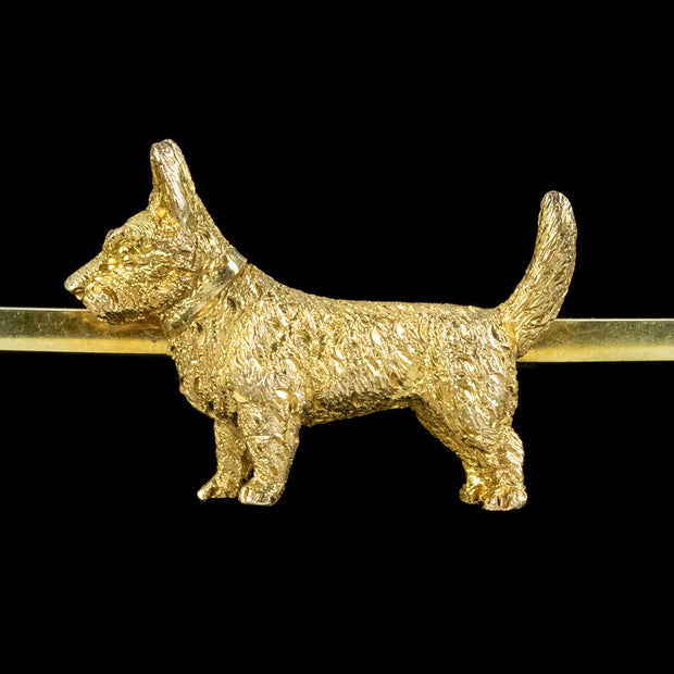 Antique Victorian Dog Bar Brooch 15ct Gold Circa 1900