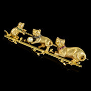 Antique Victorian French Cat Brooch Gemstone Collars 18ct Gold Circa 1900 front