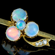 Antique Victorian Opal Diamond Shamrock Bar Brooch 18ct Gold