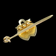 Antique Victorian Pearl Entwined Heart Bar Brooch 15ct Gold With Box