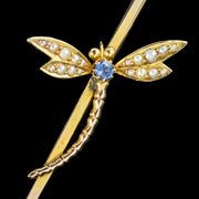 Antique Victorian Sapphire Pearl Dragonfly Brooch 9ct Gold