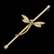 Antique Victorian Sapphire Pearl Dragonfly Brooch 9ct Gold