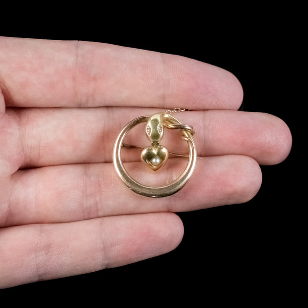 Antique Victorian Snake Brooch Diamond Eyes Pearl Heart 15ct Gold Circa 1880