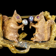 Antique Victorian Squirrel Brooch Pearl Acorns 18ct Gold 