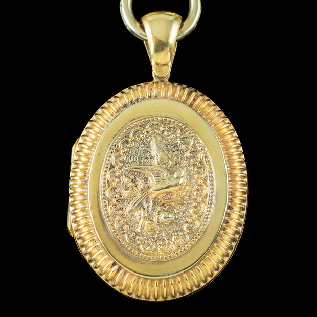 Antique Victorian Swallow Locket And Collar Silver 18ct Gold Gilt
