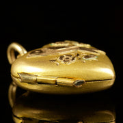 Antique Edwardian Heart Bird Locket 9Ct Gold Dated 1904