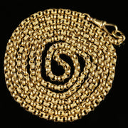 Antique Georgian Long Guard Chain 18Ct Gold