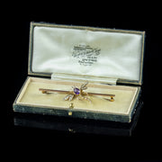 Antique Victorian Amethyst Pearl Dragonfly Brooch 9Ct Gold Circa 1900 Boxed