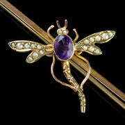 Antique Victorian Amethyst Pearl Dragonfly Brooch 9Ct Gold Circa 1900 Boxed