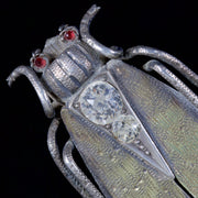Antique Victorian Beetle Paste Garnet Brooch Silver Circa 1880