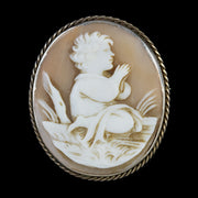 Antique Victorian Bullmouth Shell Cameo Brooch Circa 1860 front