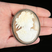 Antique Victorian Cameo Brooch Bacchante Carved Bullmouth Shell Silver
