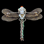 Antique Victorian Coral Enamel Silver Dragonfly Brooch Circa 1900