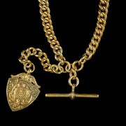 Antique Victorian Double Albert Chain Dartboard Medal 18Ct Gold On Silver