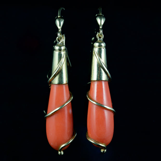 Antique Victorian Long Coral Earrings 14Ct Gold Circa 1900