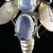 Antique Victorian Moonstone Silver Insect Brooch Circa 1900