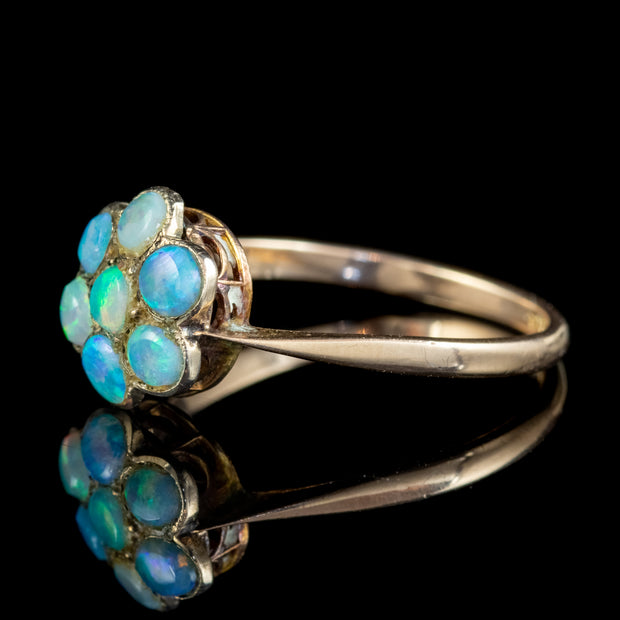 Antique Victorian Opal Cluster Flower Ring 9Ct Gold Circa 1880