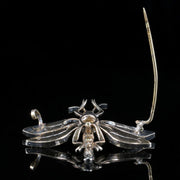 Antique Victorian Paste Dragonfly Brooch Circa 1860 French