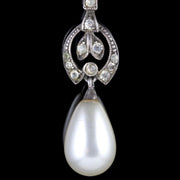 Antique Victorian Pearl Drop Earrings Silver Paste Circa 1900