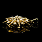Antique Victorian Pearl Star Pendant Brooch 15Ct Gold Circa 1900