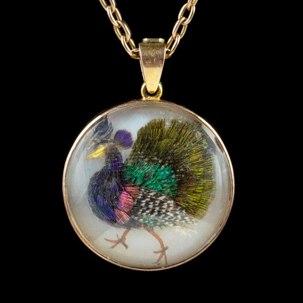 Antique Victorian Pendant Necklace Feathered Peacock 9Ct Gold Chain Circa 1880
