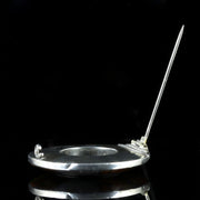 Antique Victorian Scottish Agate Brooch Silver Circa 1860