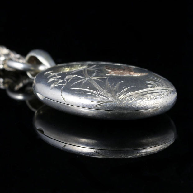 Antique Victorian Silver Gold Bird Locket And Collar