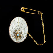 Antique Victorian Turquoise Spider Web 9Ct Gold Mother Of Pearl Brooch Circa 1880