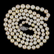 Art Deco Pearl Necklace Diamond Clasp