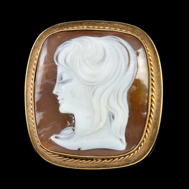 Vintage Bullmouth Shell Cameo Portrait Brooch 9Ct Gold Dated 1965