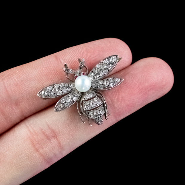 Diamond Pearl Ruby Bee Brooch Silver 18Ct Gold 1Ct Diamonds