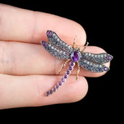 Dragonfly Brooch Amethyst Diamond Sapphire 18Ct Gold On Silver