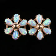 Opal Gold Stud Earrings 3Ct