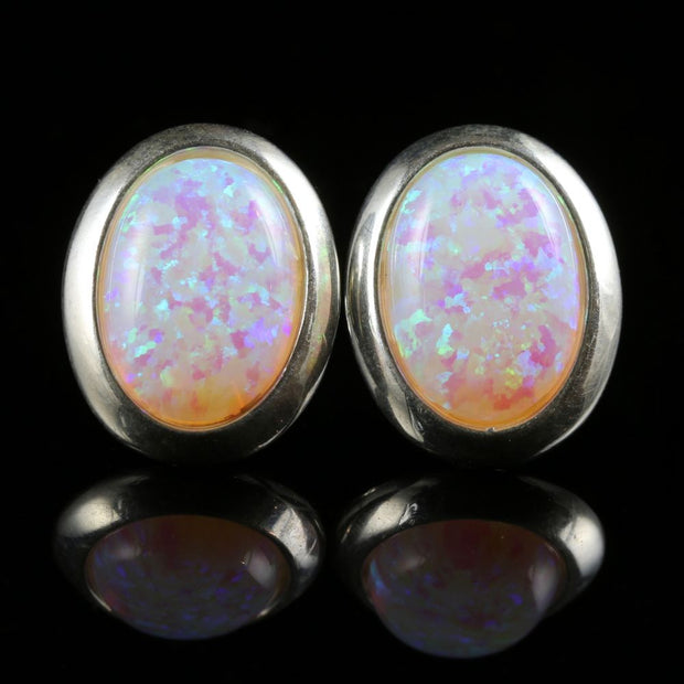 Large Opal Silver Stud Earrings 12Ct